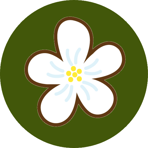 Hoa Tươi
