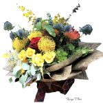 004dfba2efdd53830acc201