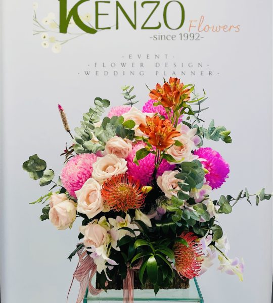 May Mắn Vững Bền 1