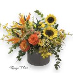 25de1bfa5c85e0dbb99451