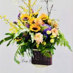 312943ff1980a5defc9177