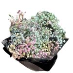 32a6078a12f5aeabf7e4191