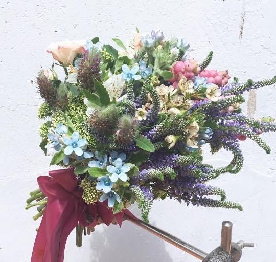 39d1319c83f03fae66e1133