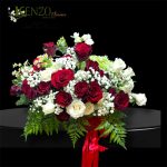 703aae02f27d4e23176c118