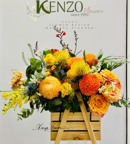 Tỏa Sáng Thành Công