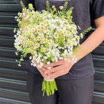 95ccf3cb2ba797f9ceb6121