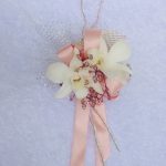 96d2629bc5e079be20f13