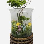 a86aa462e71d5b43020c34