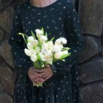 acc6c338be5702095b46143