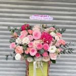 b69642521f2da373fa3c93