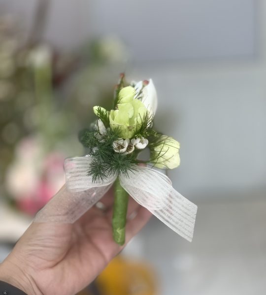 c6be3df79a8c26d27f9d6