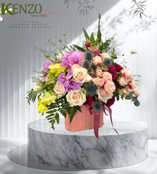 Ngày Tươi Đầy Nắng