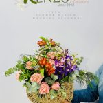 ce505c9d05e2b9bce0f371