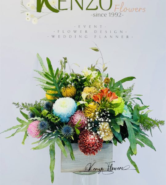 May Mắn Vững Bền