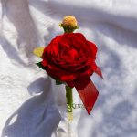 photo_2025-12-24_20-47-04