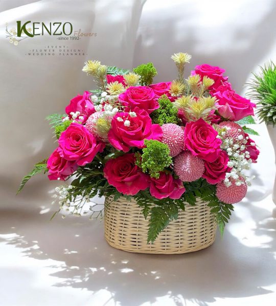 Ngày Mới Bình Yên