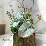 z7145004097280_65e4e8bac081354ce3eff8ab533f3630