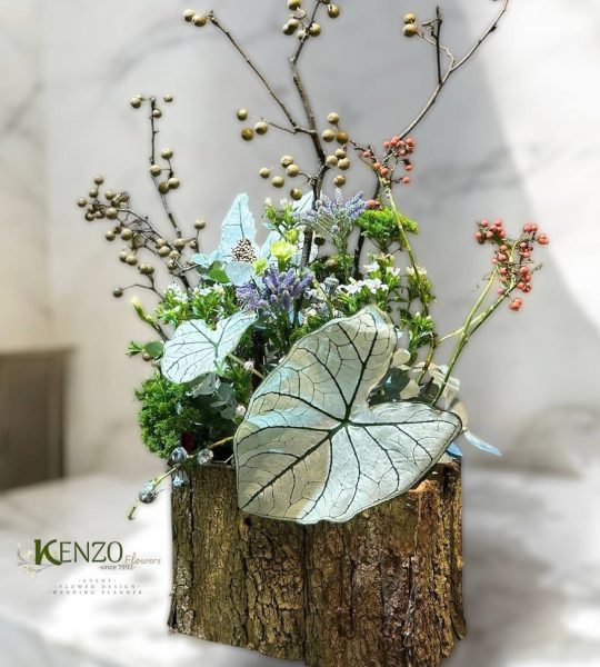 Phúc Lộc Đầy Nhà 2