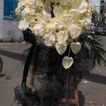 z6486178317930_d826267d93a8003fb657799c67e21a36