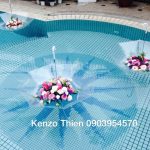 085574046f7ad3248a6b214