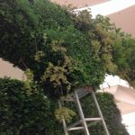 12413d8529fb95a5ccea257