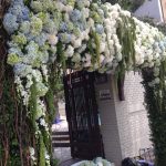 1e141c9a0de4b1bae8f5252