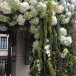 204f3fc12ebf92e1cbae231