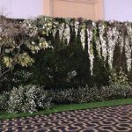 362f8d7d9903255d7c12272