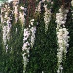 36c6354824369868c127255