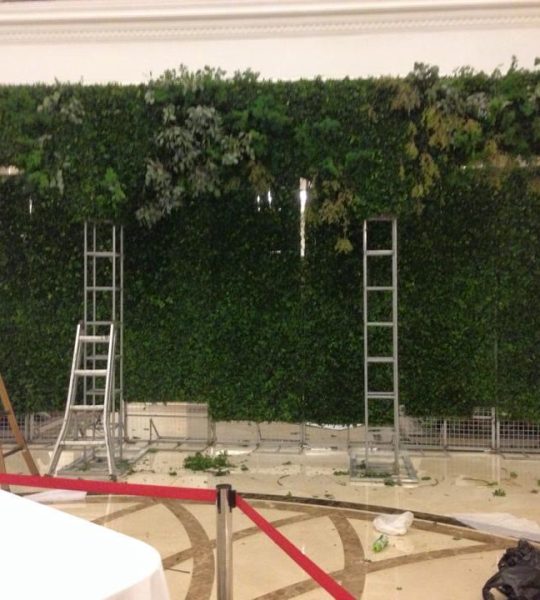 3bc9da0ece70722e2b61256