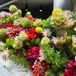 42b013a487520a0c53432