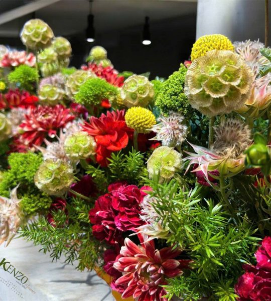 42b013a487520a0c53432