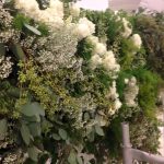 52b14175550be955b01a263