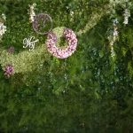 5c72dacbbdb501eb58a474