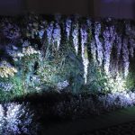 659db9d6ada811f648b9271