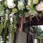 6b4054f3458df9d3a09c232