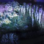 6de4b38aa7f41baa42e5276