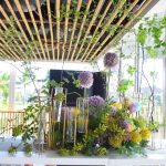 846967ce4832c56c9c234