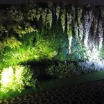 8a4855264158fd06a449273