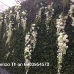 a3387d906ceed0b089ff236