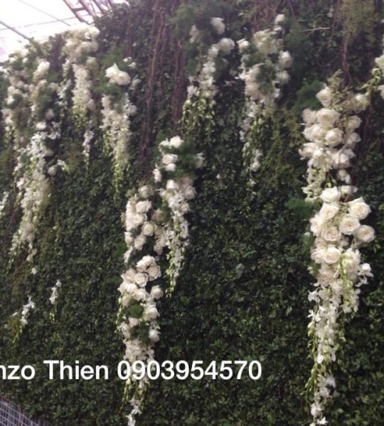 a3387d906ceed0b089ff236