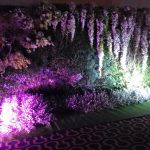 a54f7a046e7ad2248b6b274