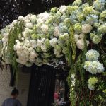 a9f37f5b6e25d27b8b34230