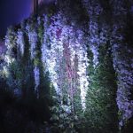 e5261201067fba21e36e277