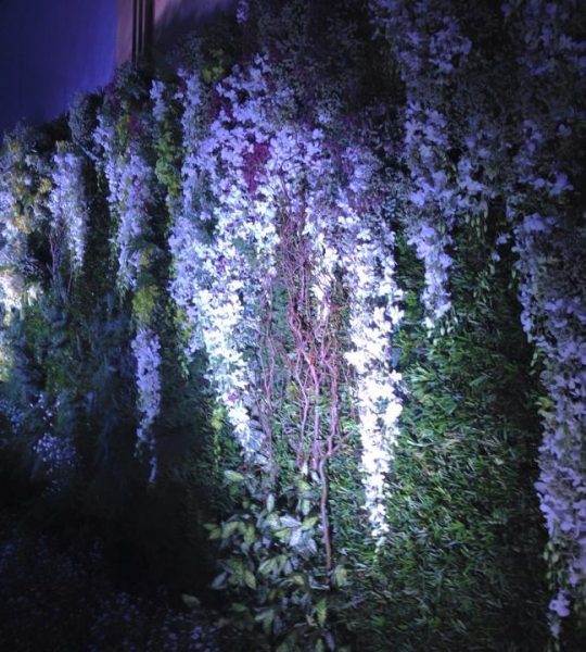 e5261201067fba21e36e277