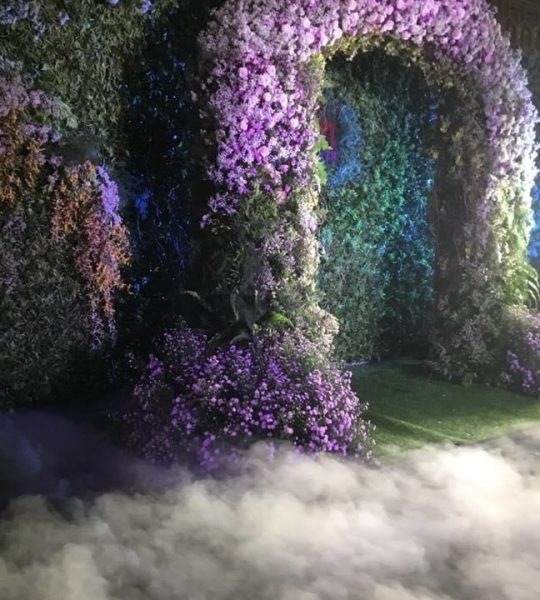 Lối vào của giấc mơ